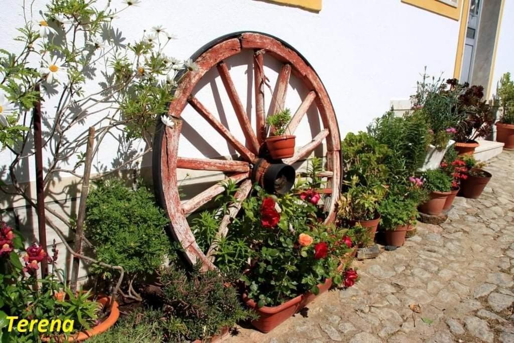 A Casa Do Mestre Lau - No Coracao Do Alentejo Terena المظهر الخارجي الصورة